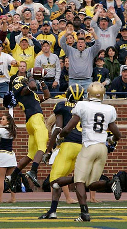 Mario Manningham and Adrian Arrington