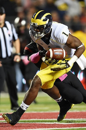 Devin Funchess (1)
