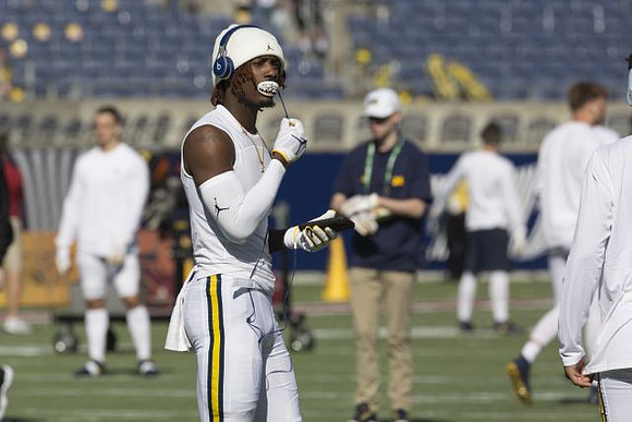 Michigan Player