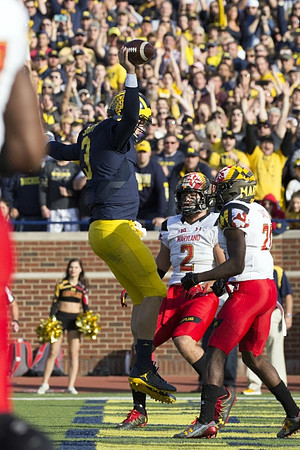 Wilton Speight (3)