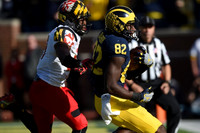 Amara Darboh (82)