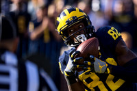 Amara Darboh (82)