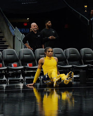 Michigan Player