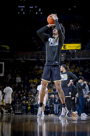 Michigan Player