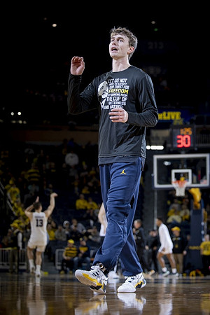 Michigan Player