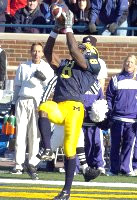 Jason Avant (8)