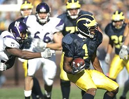 Braylon Edwards (1)