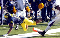 Steve Breaston (15)