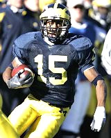 Steve Breaston (15)