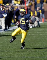 Steve Breaston (15)