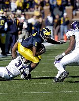 Braylon Edwards (1)