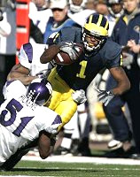 Braylon Edwards (1)