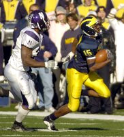 Steve Breaston (15)