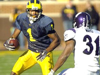 Braylon Edwards (1)