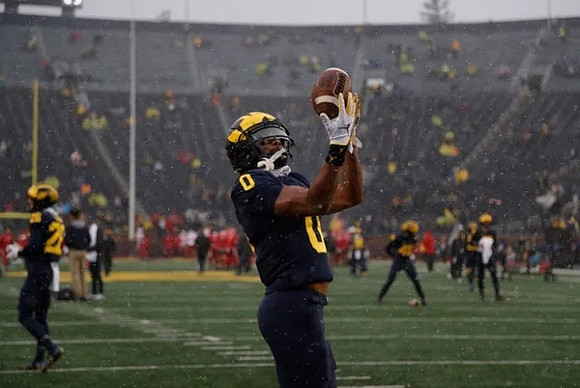 Michigan Team