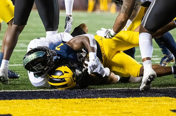 Michigan Player