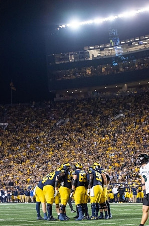 Michigan Team