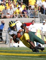 Braylon Edwards (1)