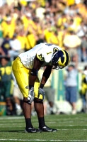 Braylon Edwards (1)
