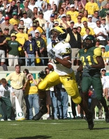 Steve Breaston (15)