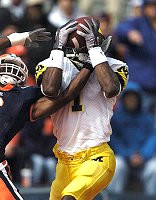Braylon Edwards (1)