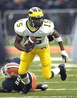 Steve Breaston (15)