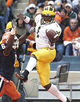 Braylon Edwards (1)