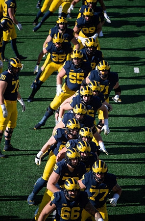 Michigan Team