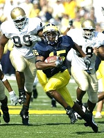Steve Breaston (15)