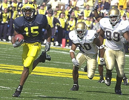 Steve Breaston (15)