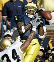 Braylon Edwards (1)