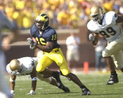 Steve Breaston (15)