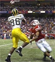 Mario Manningham