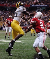 Mario Manningham