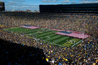 Michigan Stadium