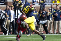 Amara Darboh (82)