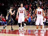 Nik Stauskas (11)