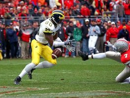Braylon Edwards (80)