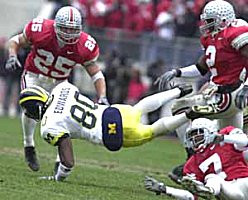 Braylon Edwards (80)