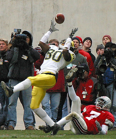 Braylon Edwards (80)