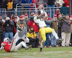 Braylon Edwards (80)