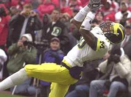 Braylon Edwards (80)