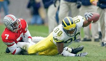 Braylon Edwards (80)