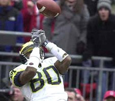 Braylon Edwards (80)
