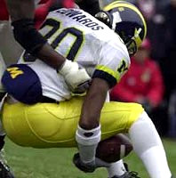 Braylon Edwards (80)