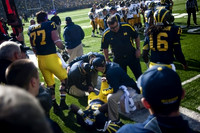 Taylor Lewan (77), Fitzgerald Toussaint (28), Brady Hoke, and Denard Robinson (16)