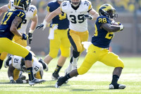 Jeremy Jackson (17), Fitzgerald Toussaint (28), and Mike Kwiatkowski (81)