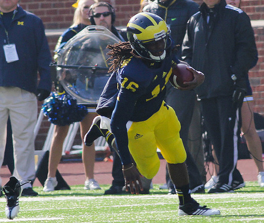 Denard Robinson (16)