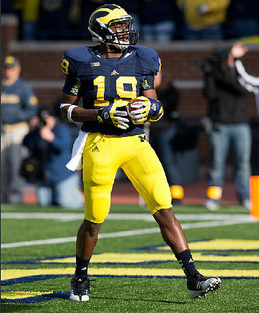 Devin Funchess (19)