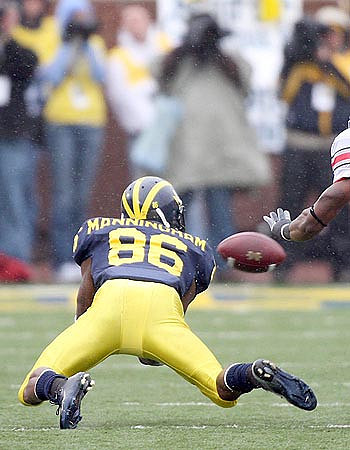 Mario Manningham